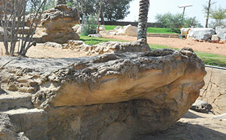 tahr site